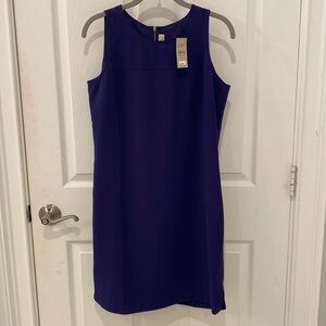Ann Taylor Loft Shift Dress NWT Purple size 6 petite
